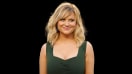 Amy Poehler